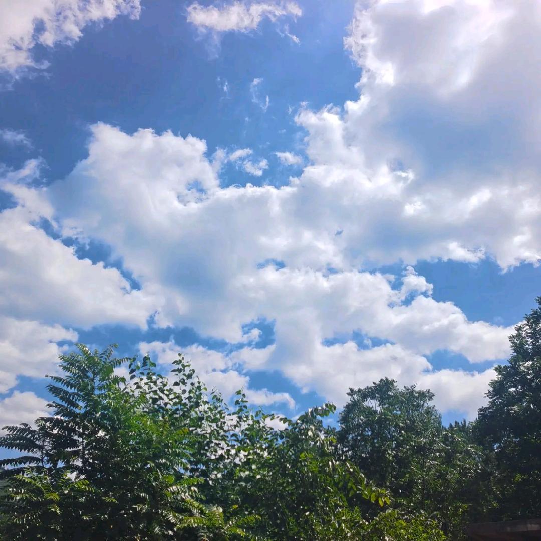 平淡是真