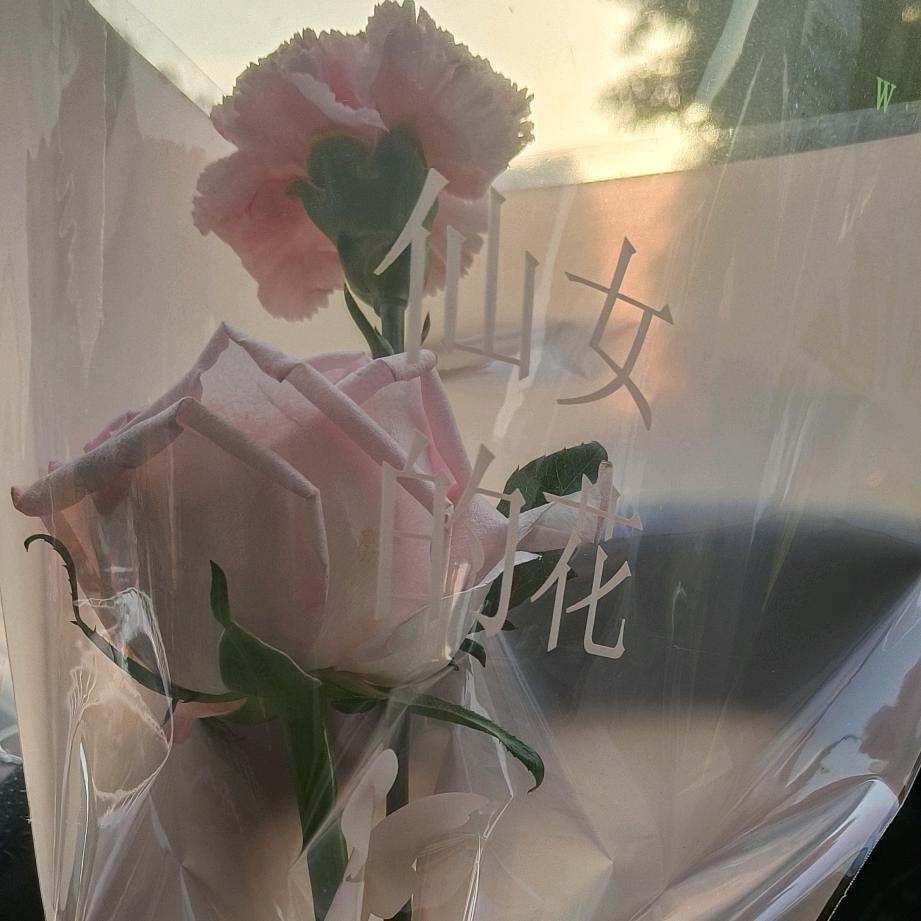 财袁滚滚，平平安安