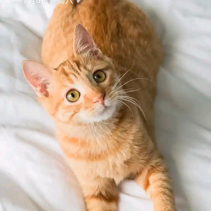 一笑而郭( •︠ˍ•︡ )