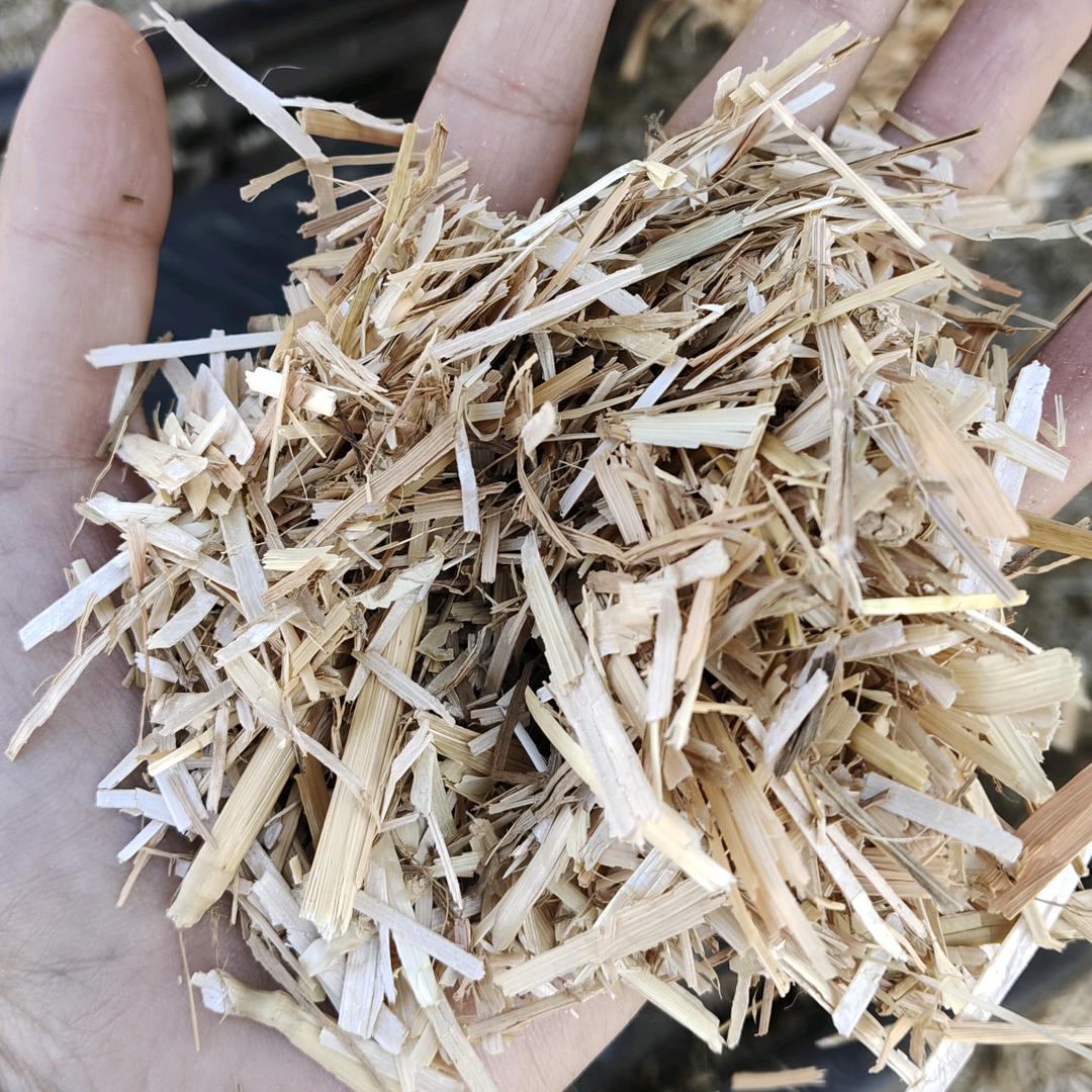 聚优达草业毛毛