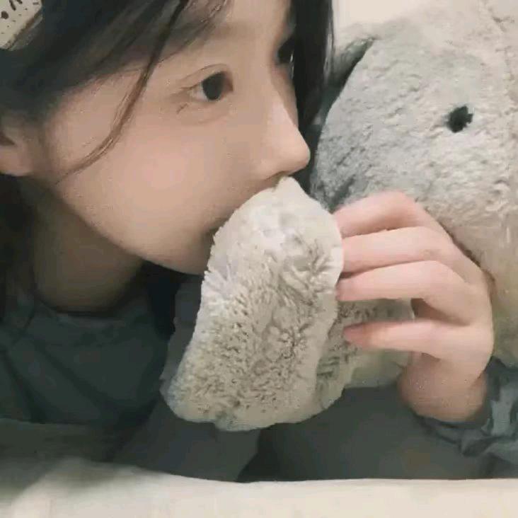 海燕好物分享