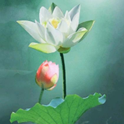 善缘堂🙏（母女堂）