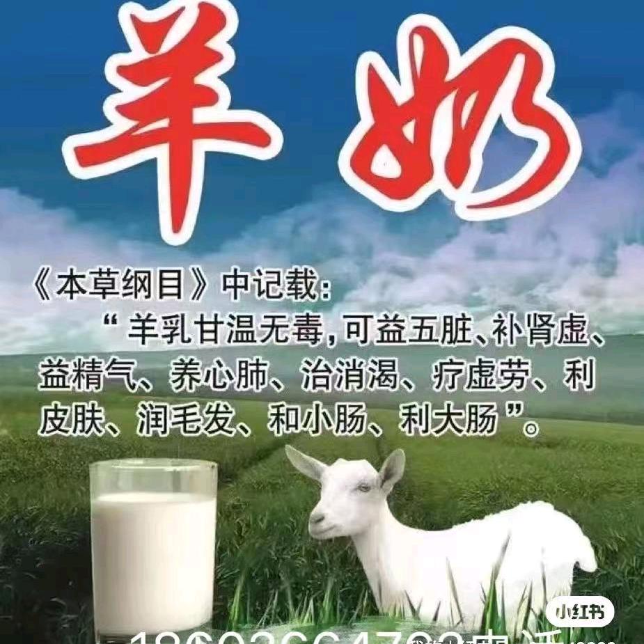 哈尔滨强子，生牛奶，生羊奶同城送货