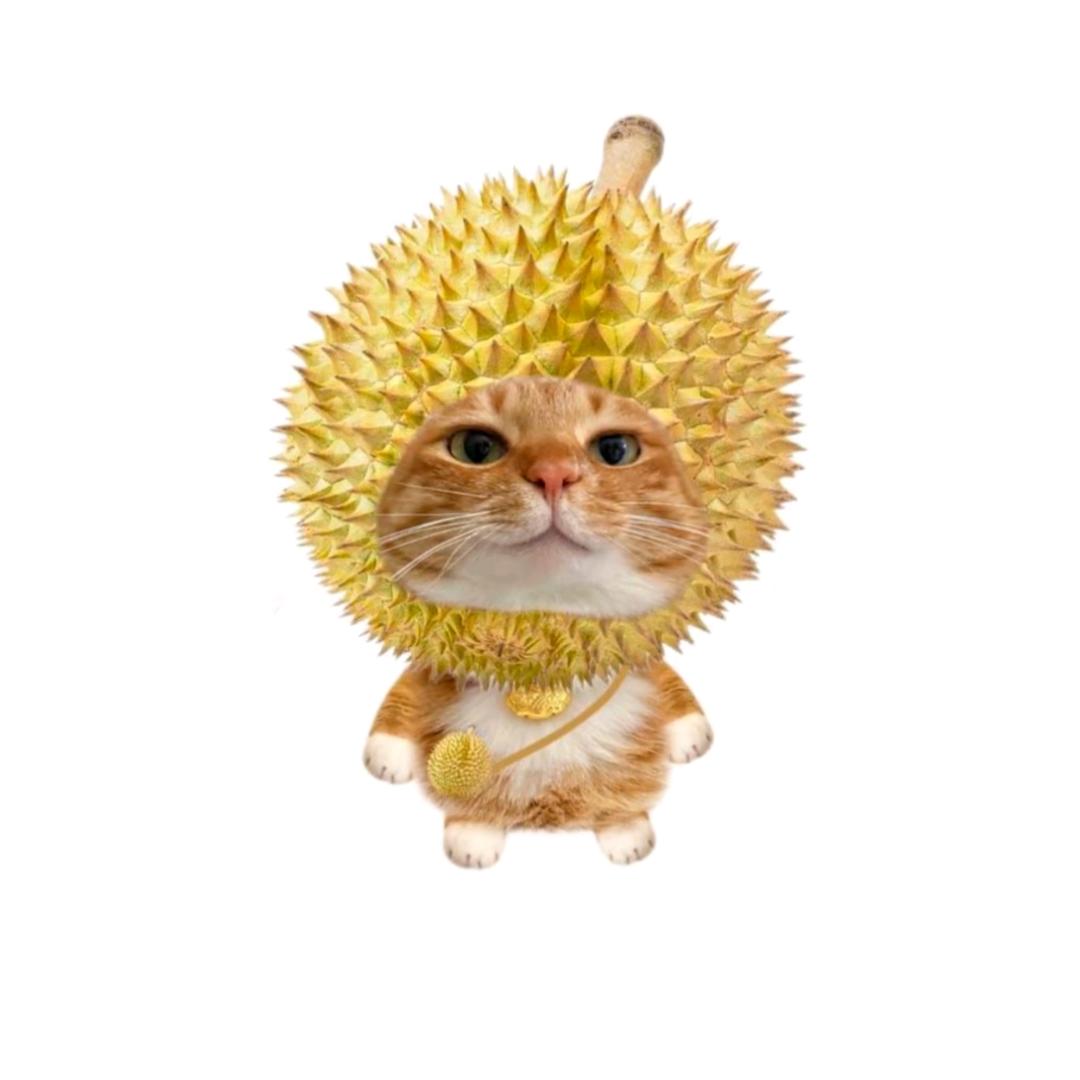 蛋蛋蛋挞