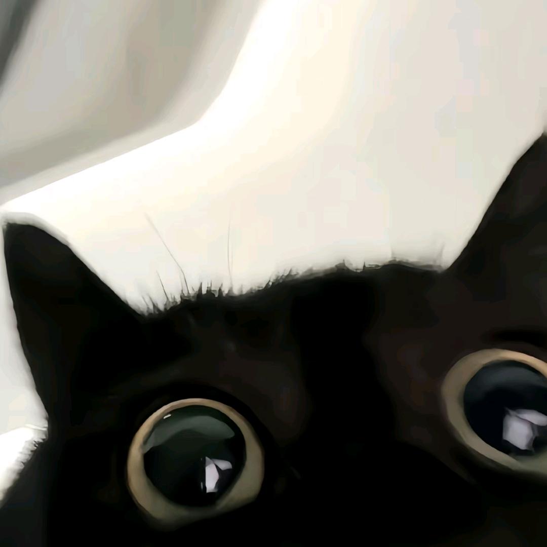 猫咪改吃素