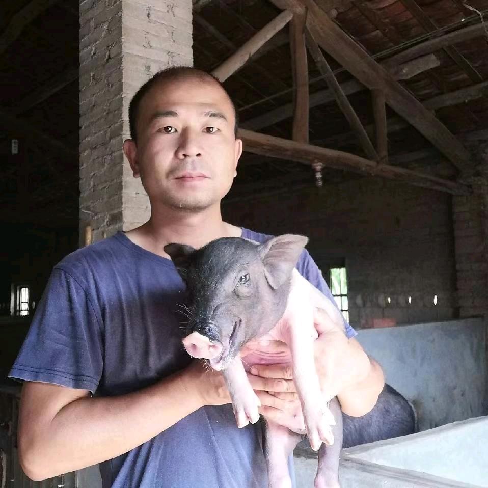 养🐷的奔跑哥