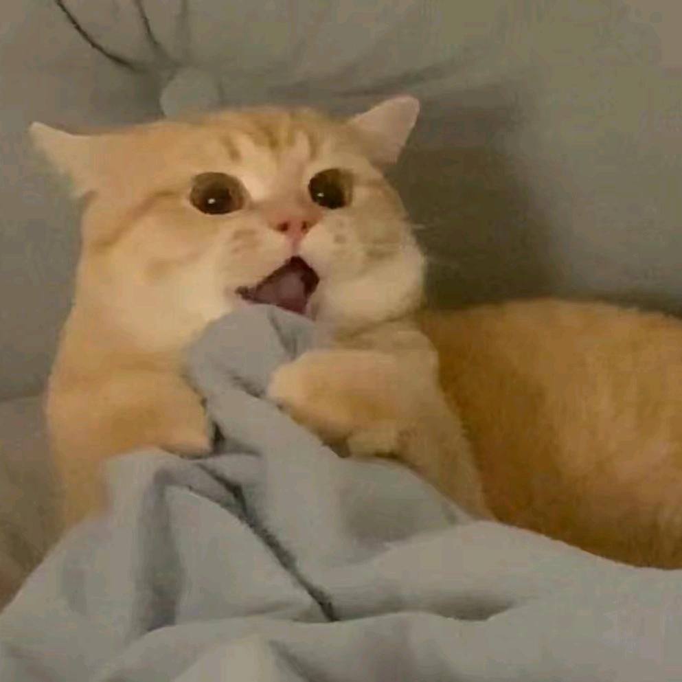 姜大龙