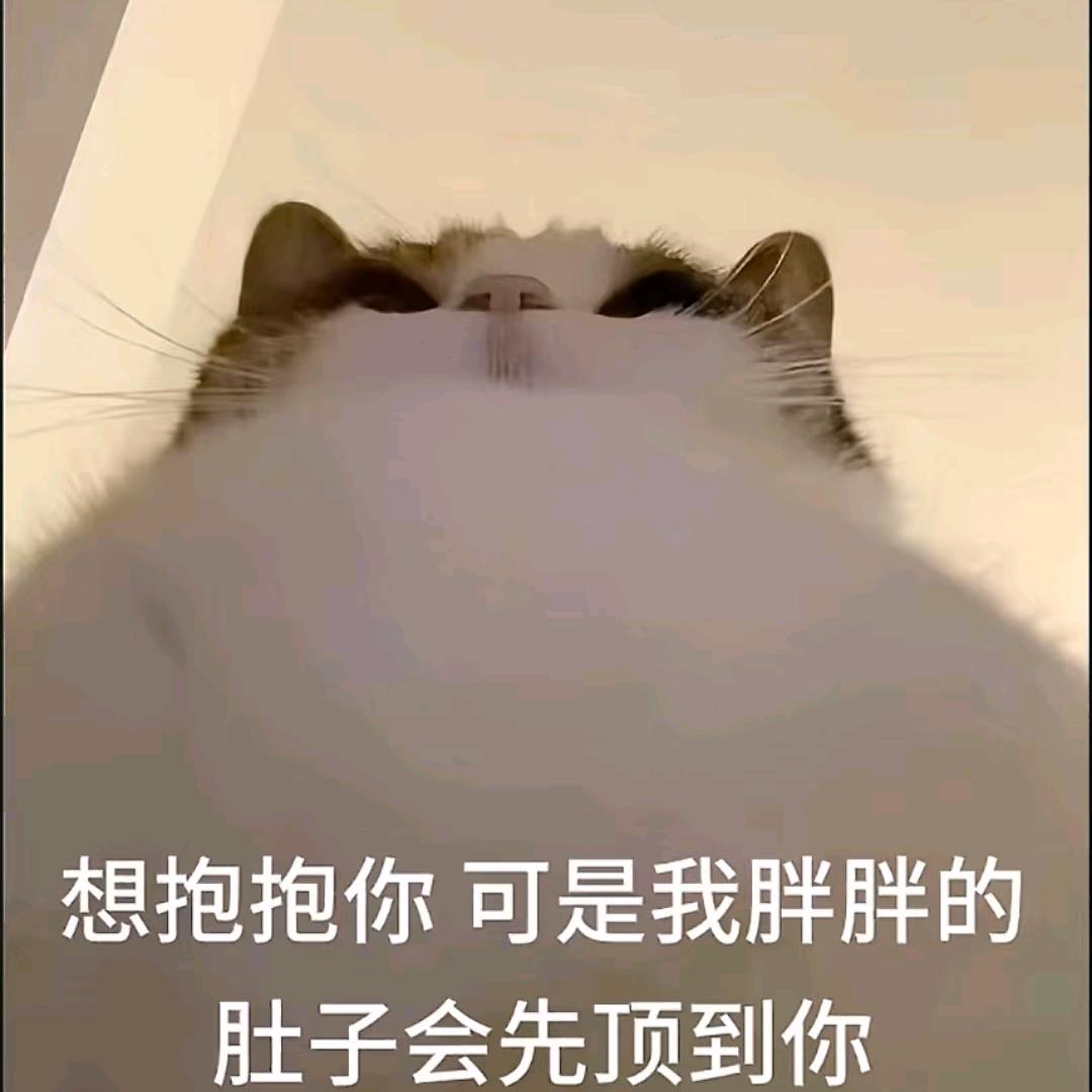 艾德尔塔