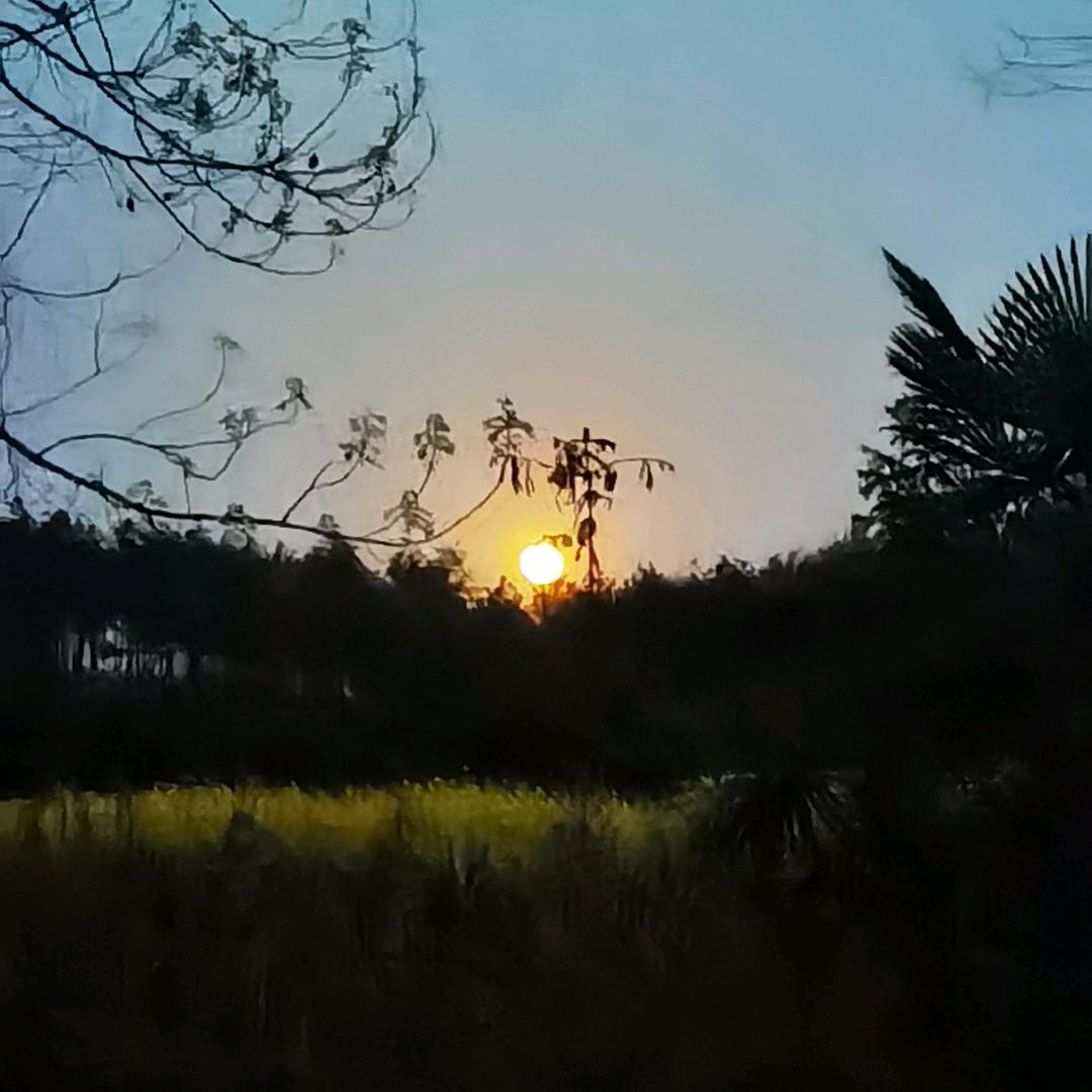 重生之我在缅A顶一字