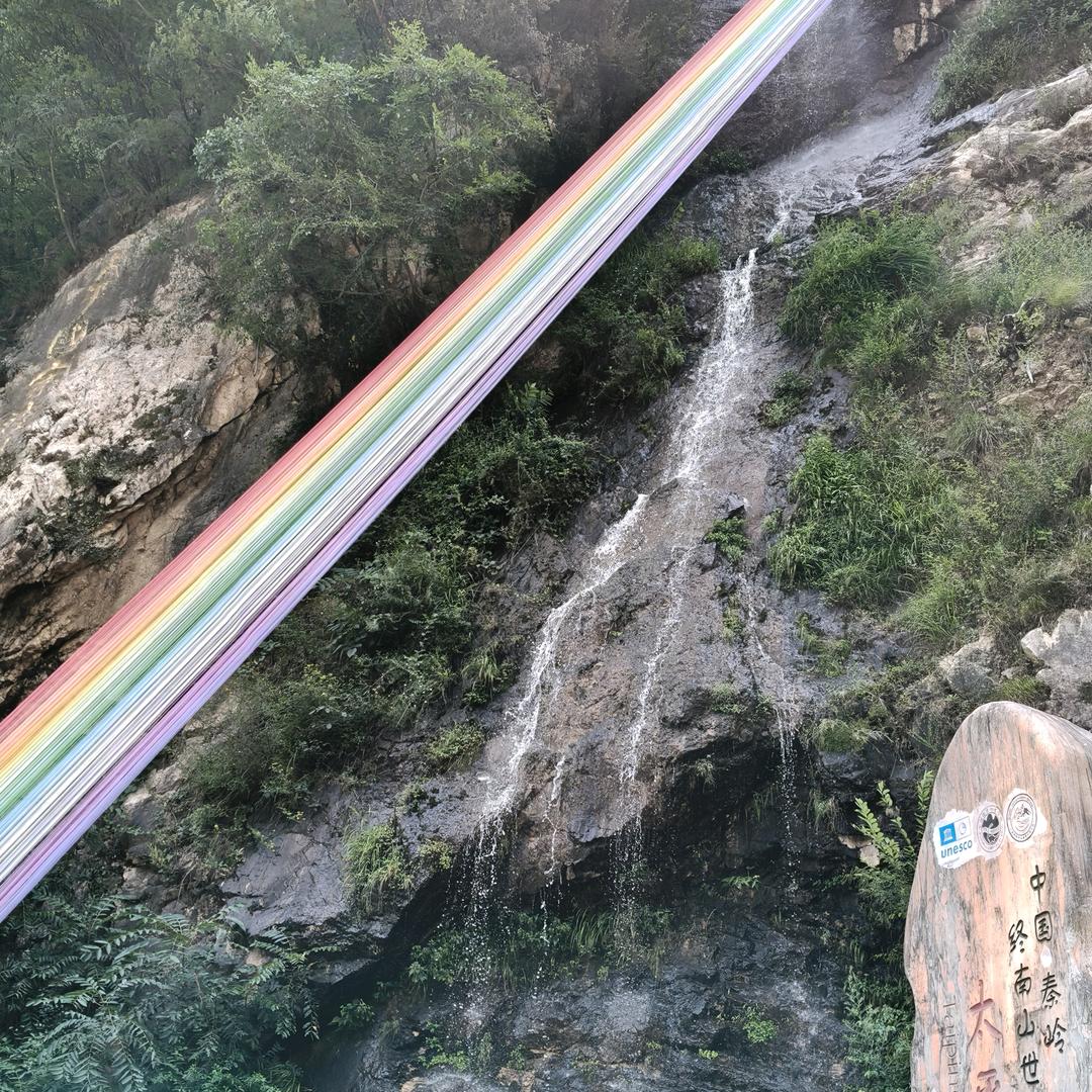 無訫