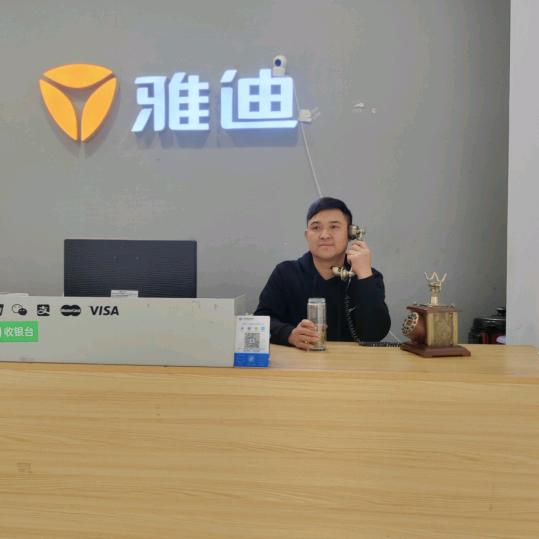 徐记车业～安百苑雅迪电动车