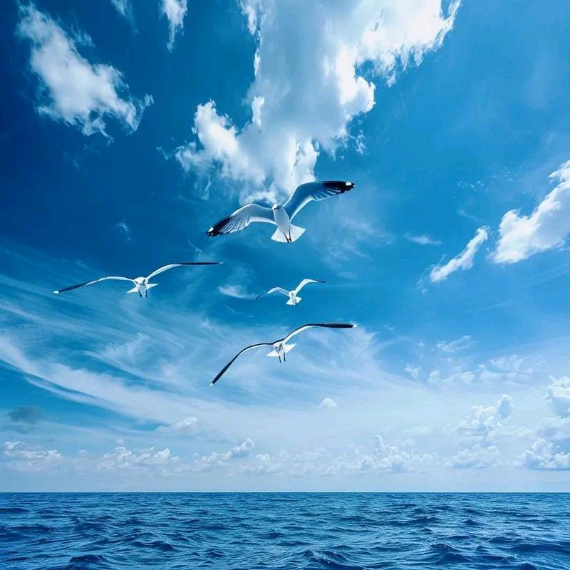 💫🔥蓝天🔥💫