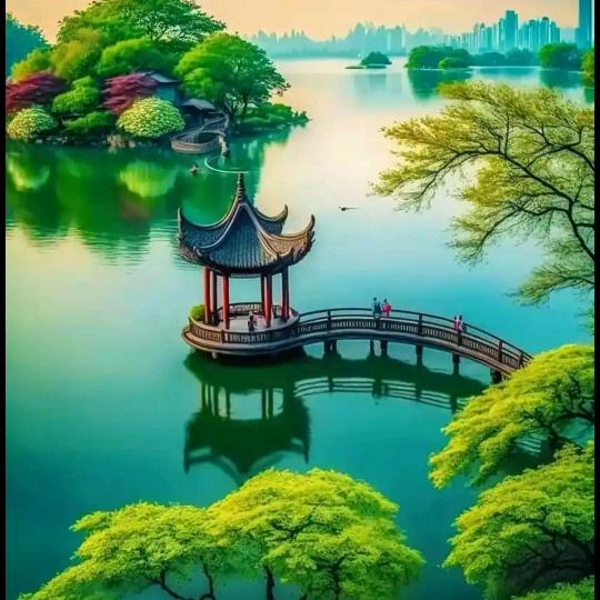胖妮儿大舞台（键盘手）