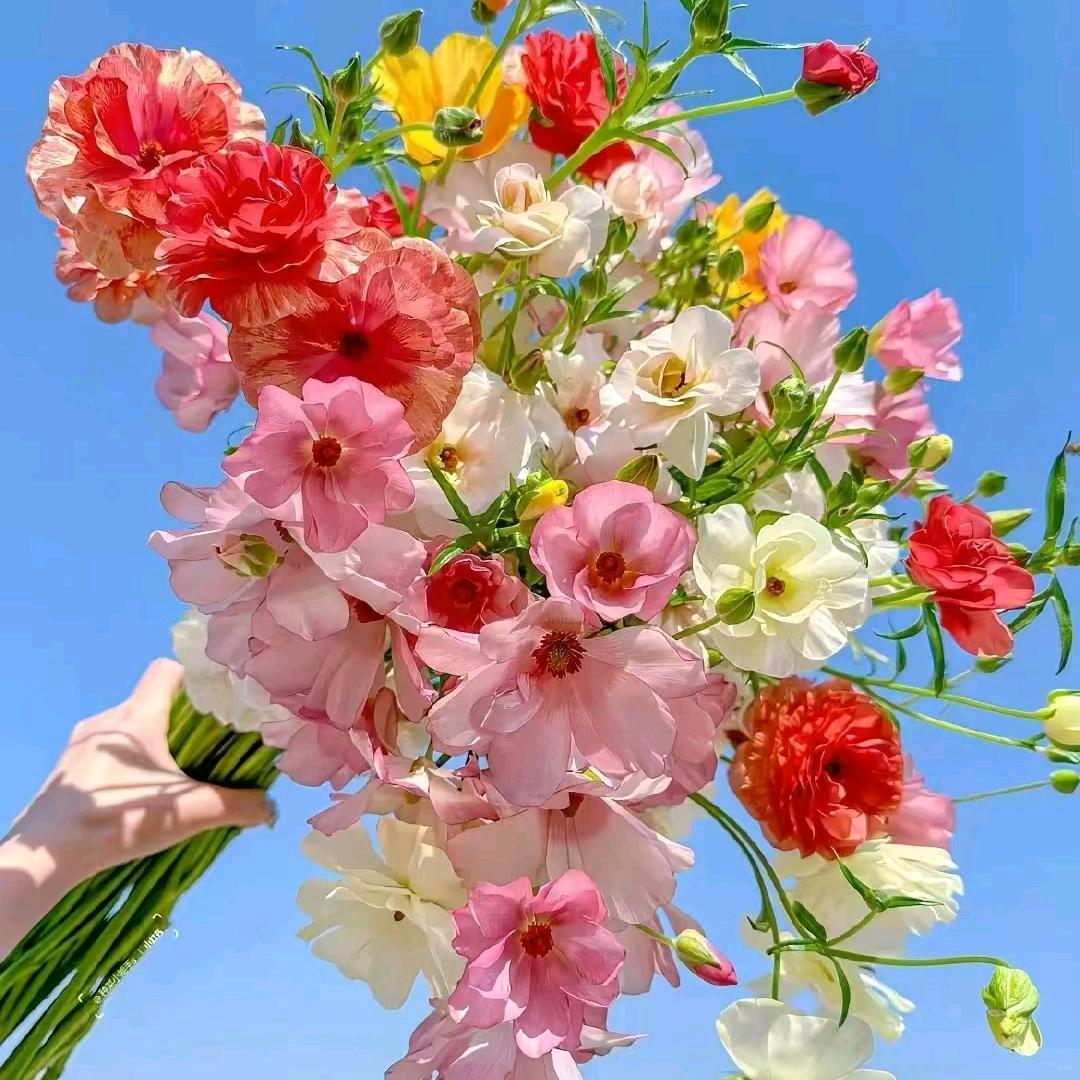 爱你不后悔