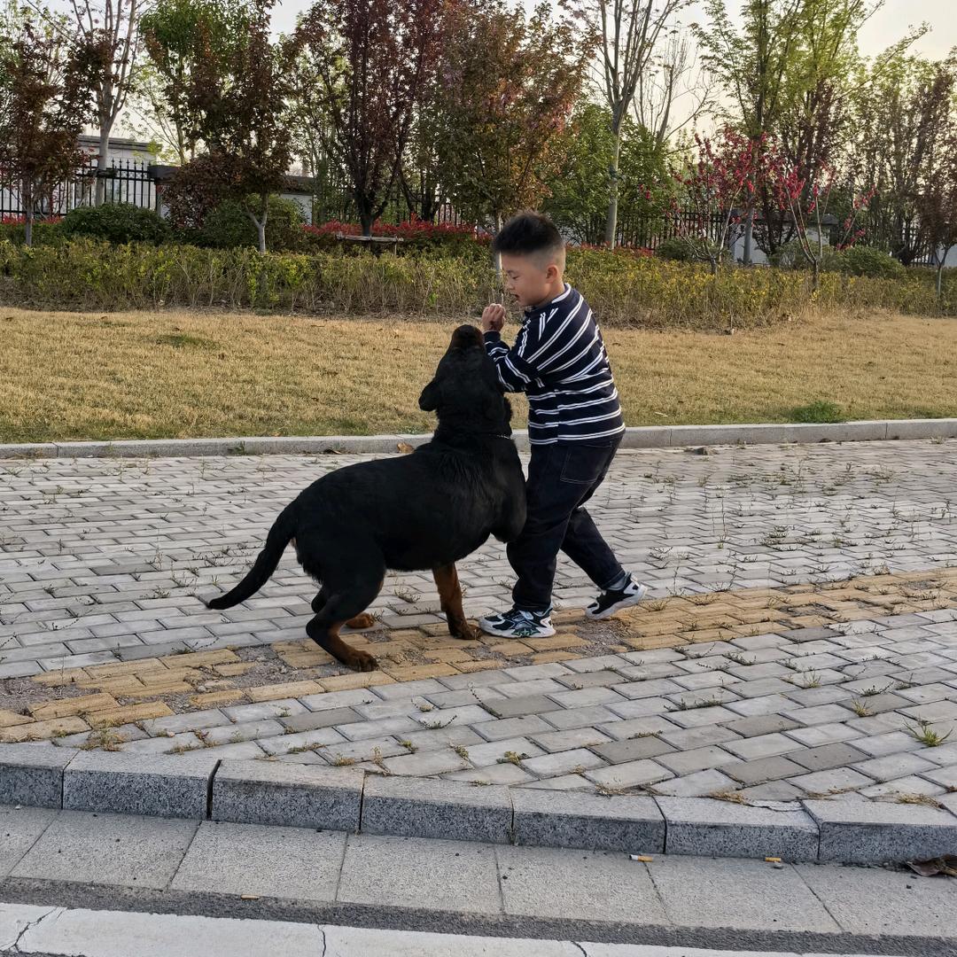 叽叽歪歪🔨
