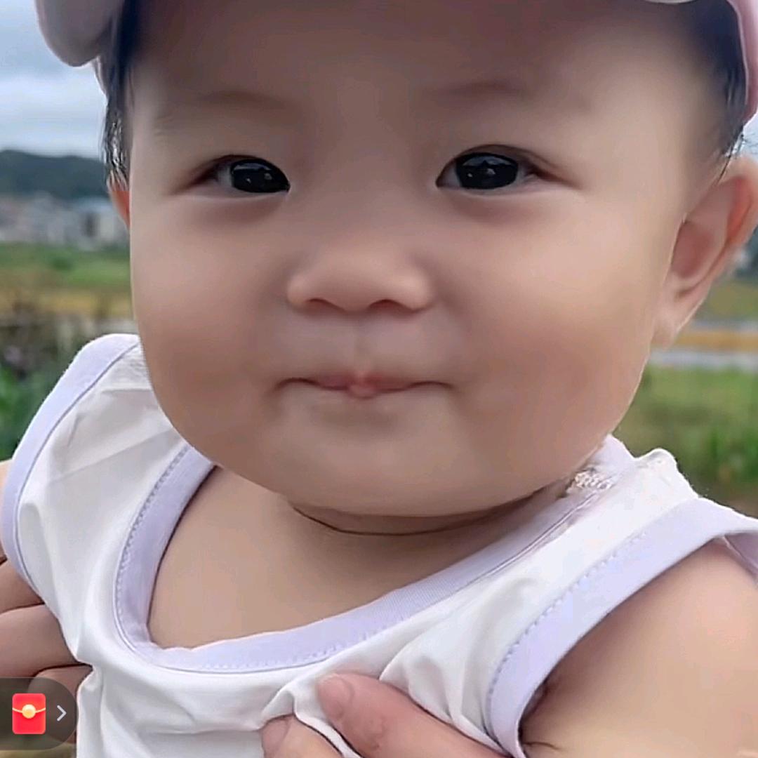 小涛涛