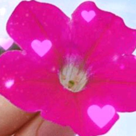 今生🌹有你