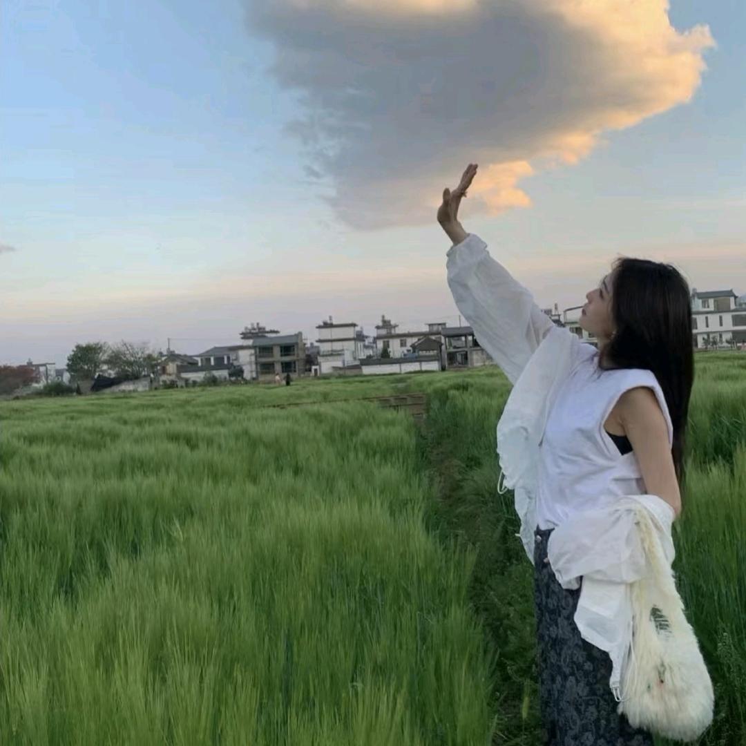 圆鸿百货