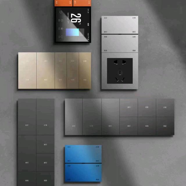 刘先生（智能开关+灯光)