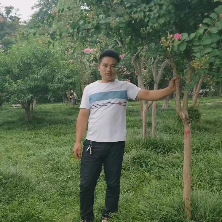 沙河二哥