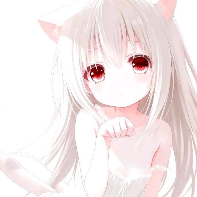 早睡小晗