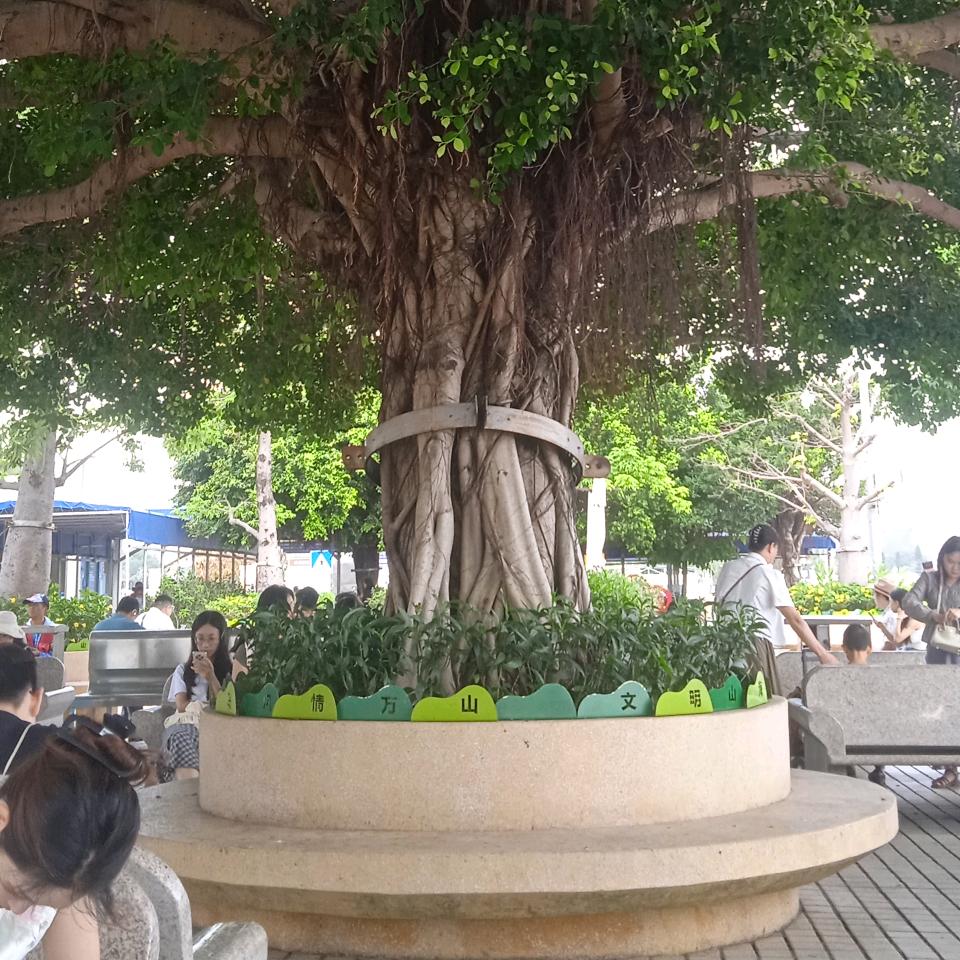 仕杰