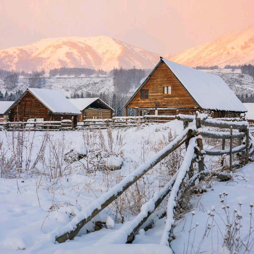 吱嗷赵女士👸🏻—新疆