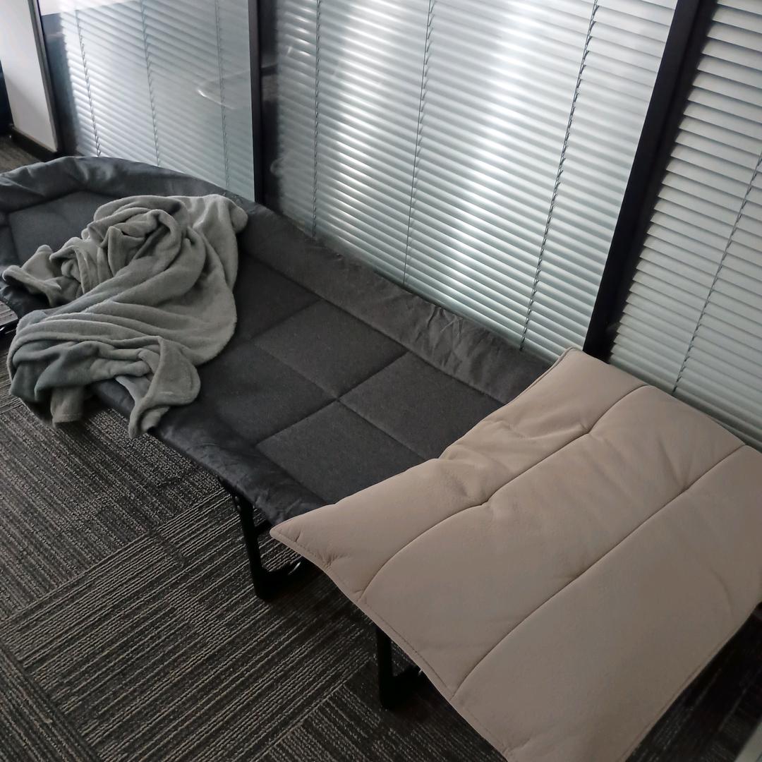 老魏的好物分享