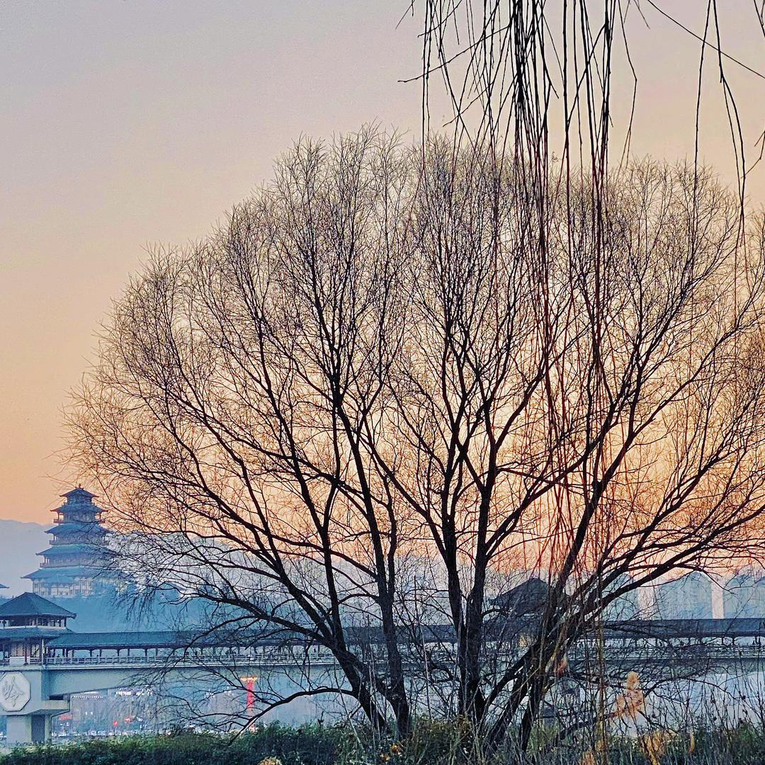 青春永驻开心每一天