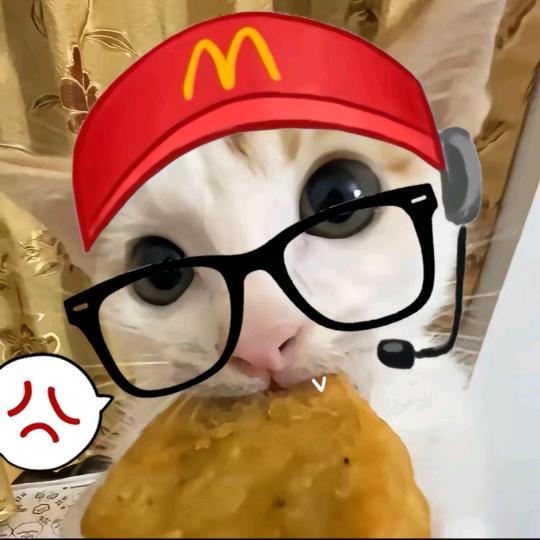 依旧是一小碗R