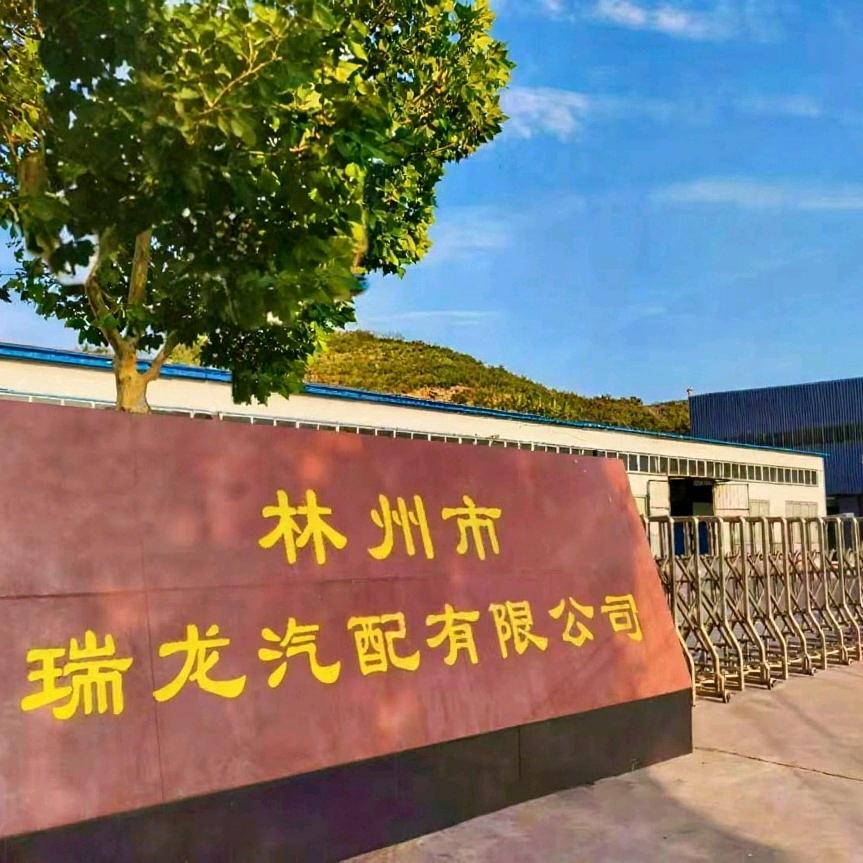 林州市瑞龙汽配有限公司