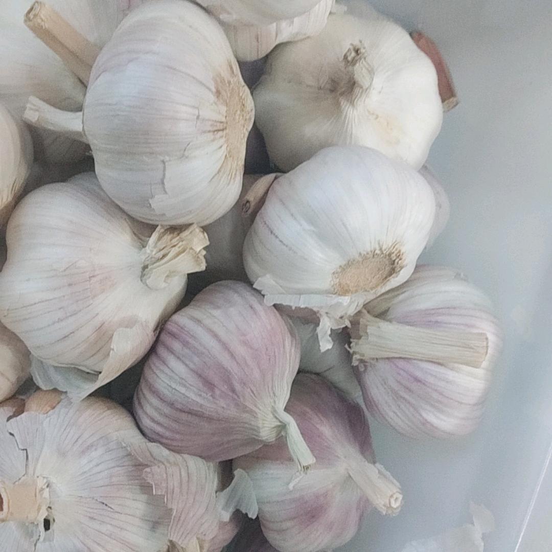 优尼