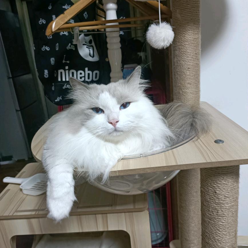 花好月圆🌺🌺