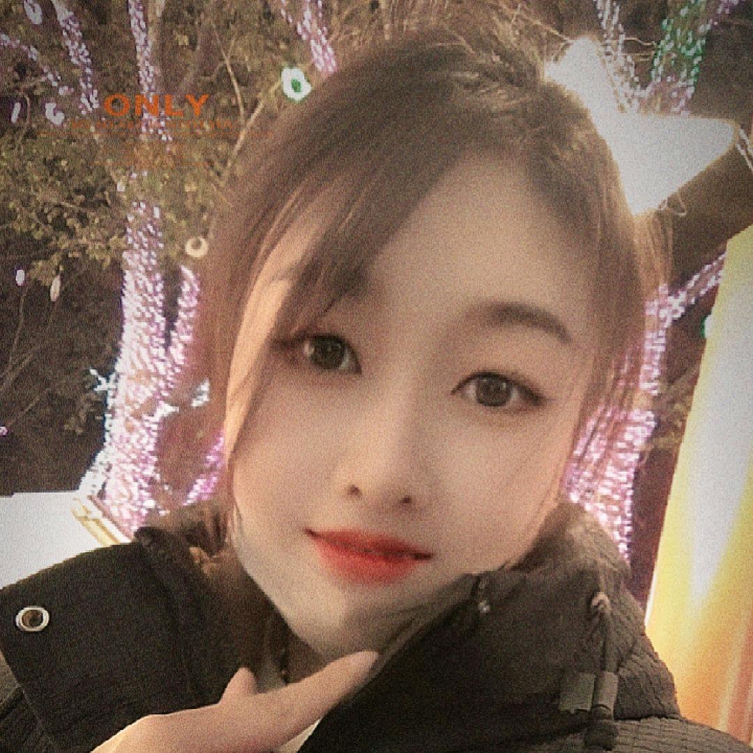 欢欢鑫鑫（家有高中生）