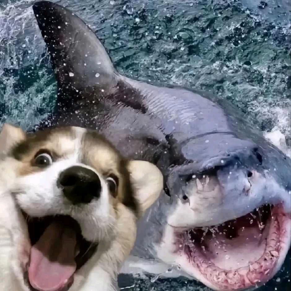 徐铭琪