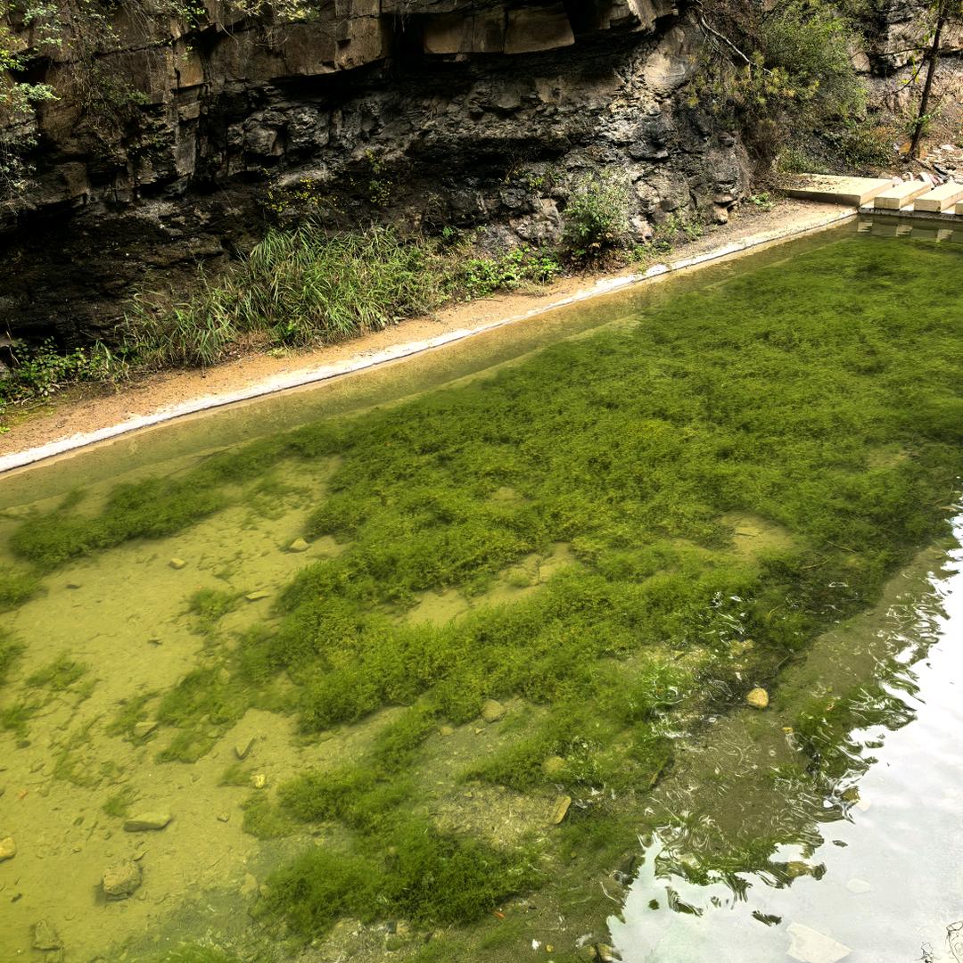 家豪日常好物分享