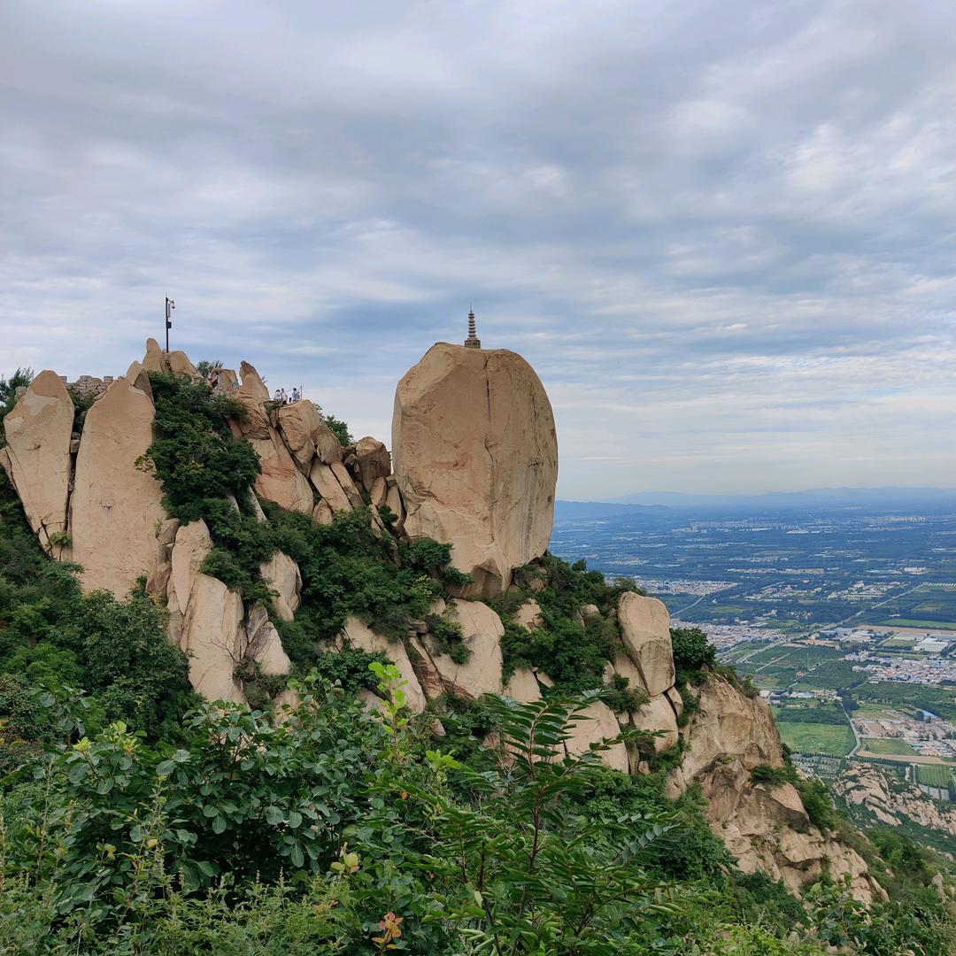 随思