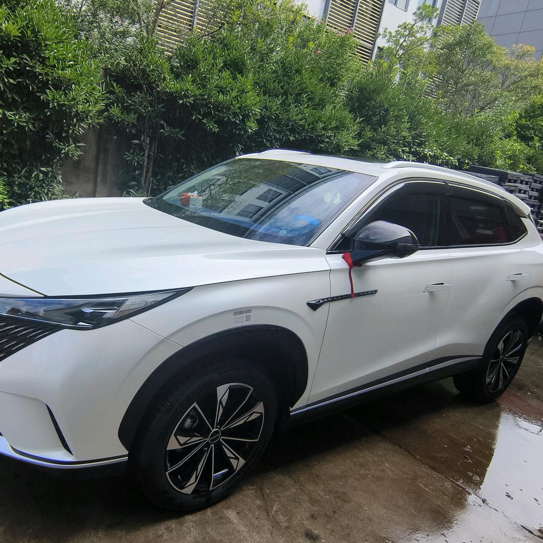 🌿刘小乐🎼