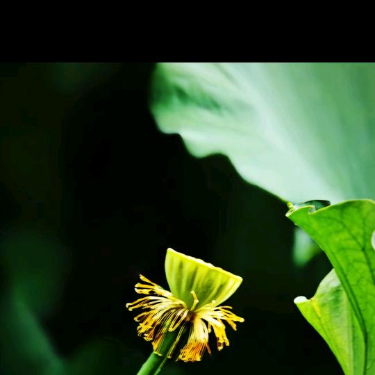 雲·慢慢·5️⃣