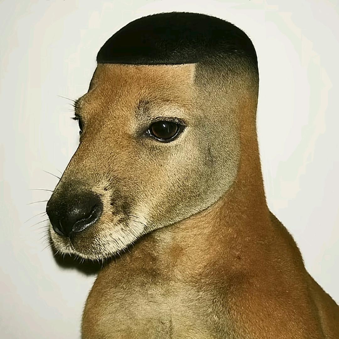 馒爷▞▙▛▖▜▖▗▝