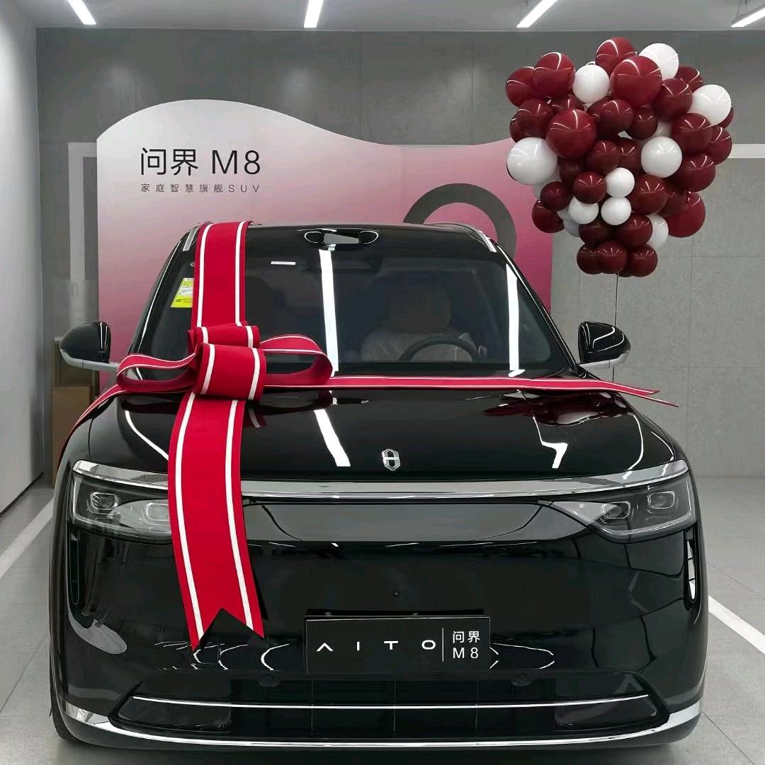 界样子