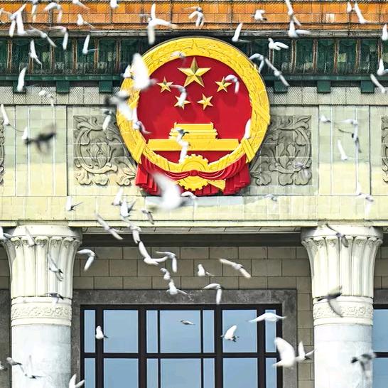 中药材种植