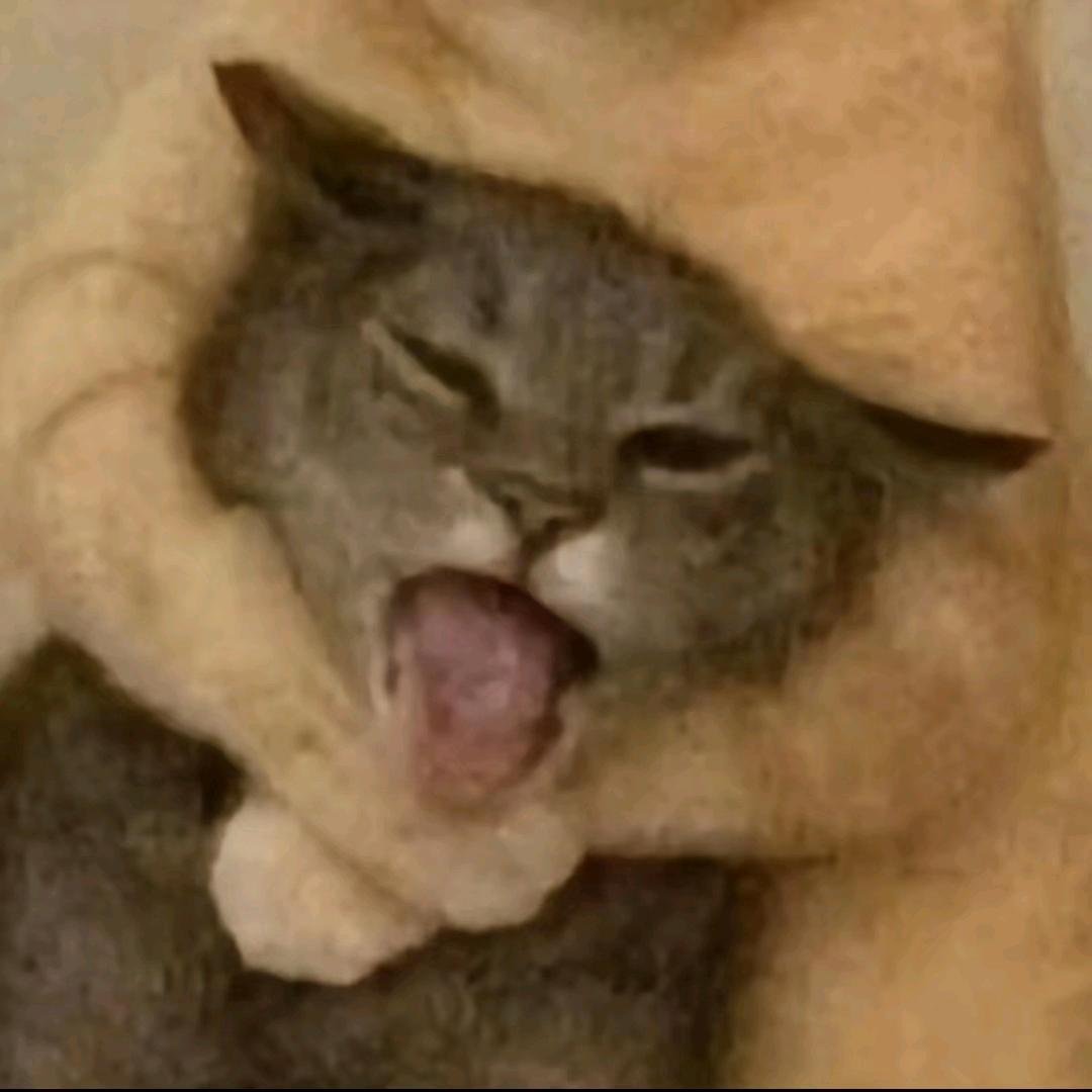 桃乾璞