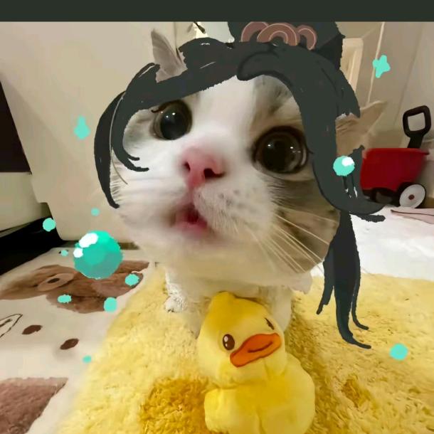 小梦👑