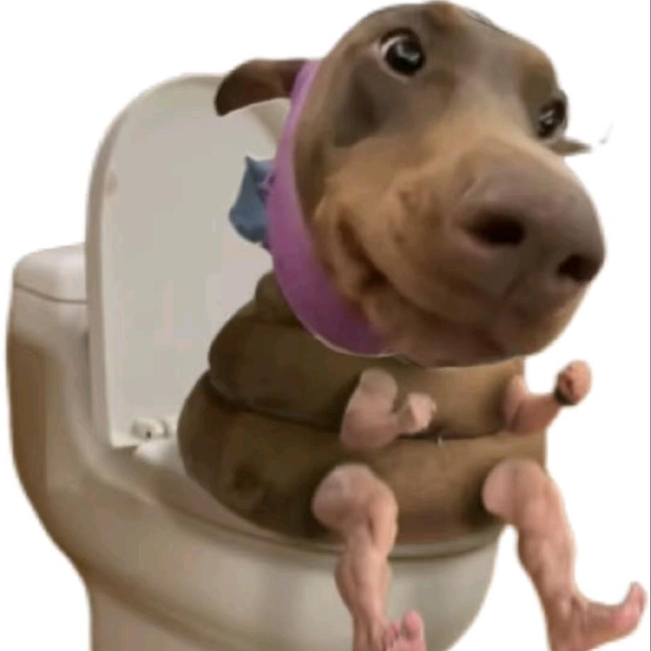 拉托大的🫴💩