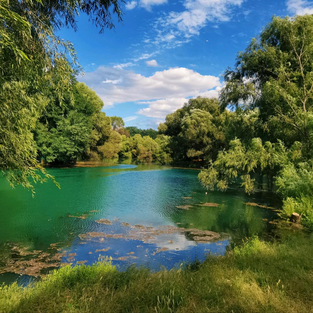马松涛