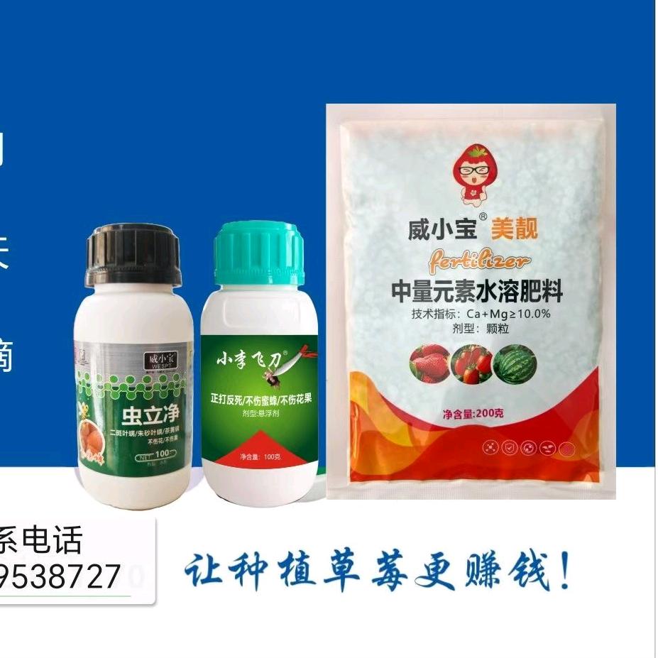 威小宝小李飞刀--小杨