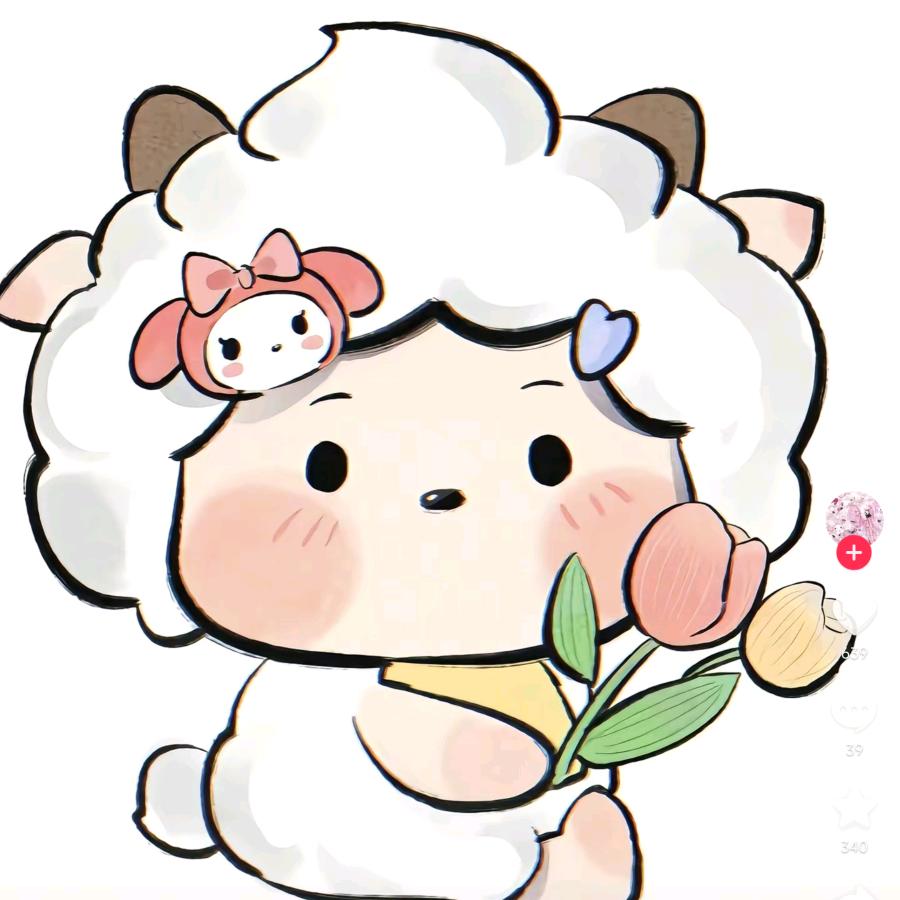 喜欢拍视频的小书言