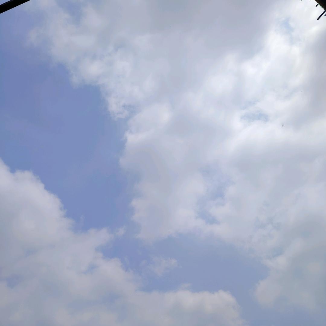 思念成灰