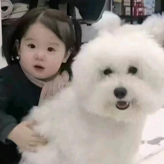 魏小趁